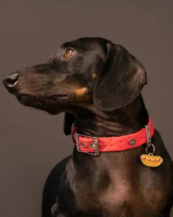 Hot Dog Custom Pet ID Tag