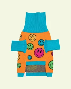 How Are You Feeling? Dog Sweater
