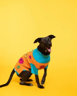 How Are You Feeling? Dog Sweater
