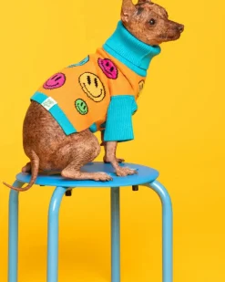 How Are You Feeling? Dog Sweater