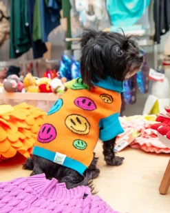 How Are You Feeling? Dog Sweater