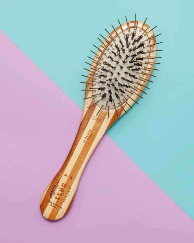Hybrid Groomer Dog Brush