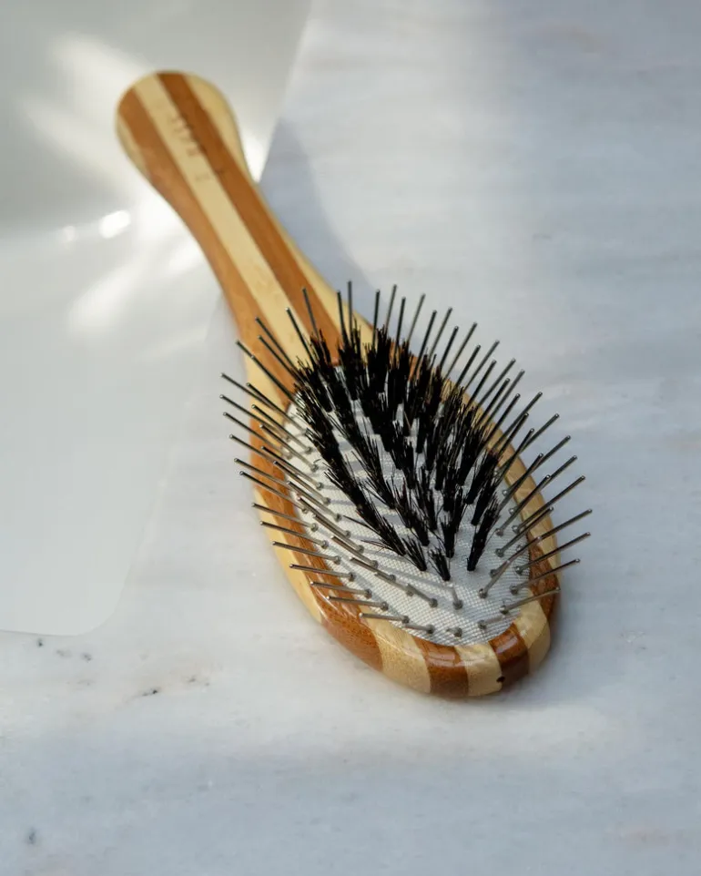 Hybrid Groomer Dog Brush