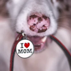 I Love Mom Custom Circle Pet ID Tag