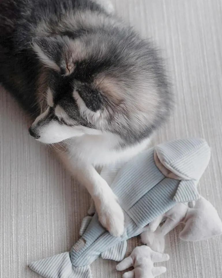 2-IN-1 Burrow + Snuggle Trout Fish Dog Toy