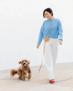 4-in-1 Convertible Hands Free Dog Leash in Chai Brown