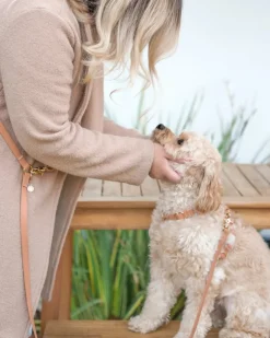 4-in-1 Convertible Hands Free Dog Leash in Chai Brown