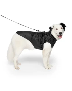 2-In-1 Dog Harness Raincoat in Black