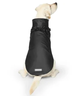 2-In-1 Dog Harness Raincoat in Black