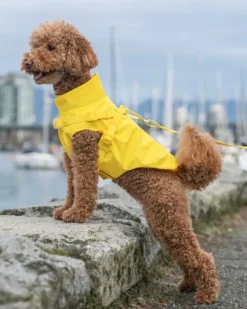 2-In-1 Dog Harness Raincoat in Yellow