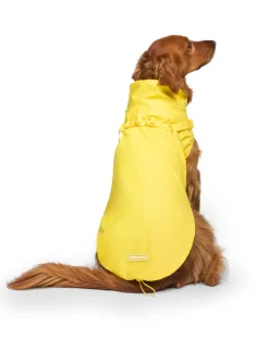 2-In-1 Dog Harness Raincoat in Yellow