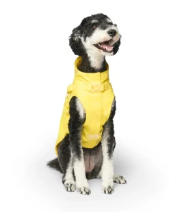 2-In-1 Dog Harness Raincoat in Yellow