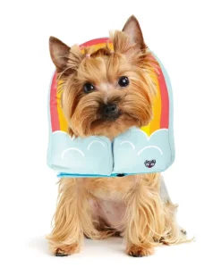 Inflatable Recovery Collar