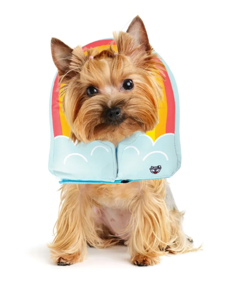 Inflatable Recovery Collar