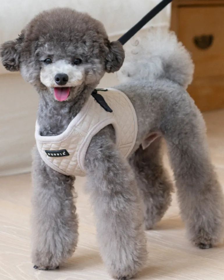 Irvin Fleece-Lined Dog Harness in Cream
