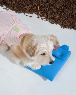 Jelly Bear Cooling Ice Patch for Dogs