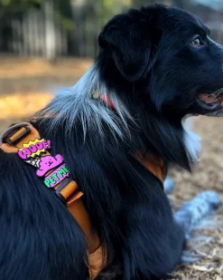 Jiby Silicone Slide On Pet Charms