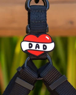 Jiby Silicone Slide On Pet Charms