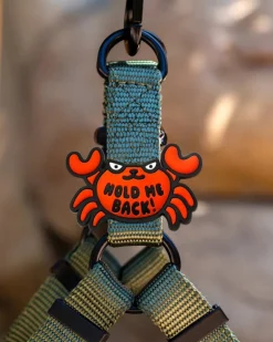 Jiby Silicone Slide On Pet Charms