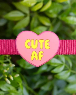 Jiby Silicone Slide On Pet Charms