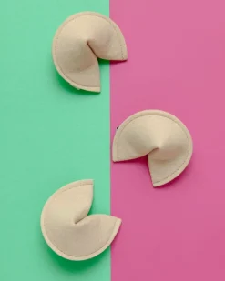 Kitty Fortune Cookie Catnip Toy