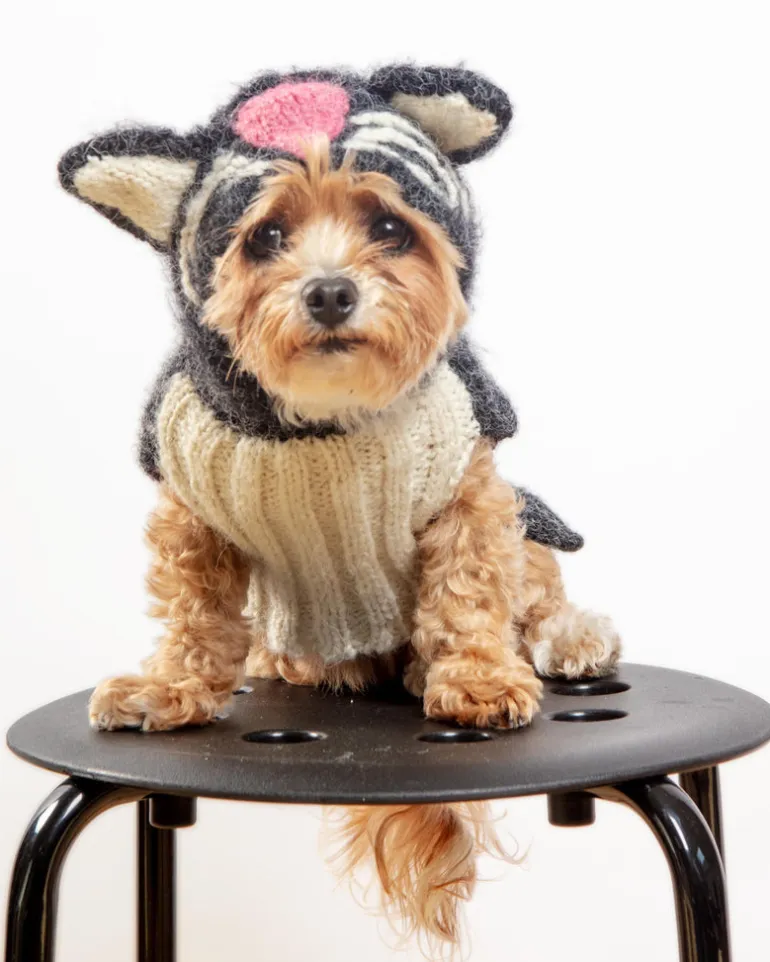 Kitty-Kat Handknit Dog Sweater (DOG & CO. Exclusive)