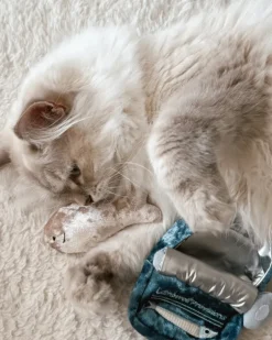 Kitty Sardines Snuffle Cat Toy