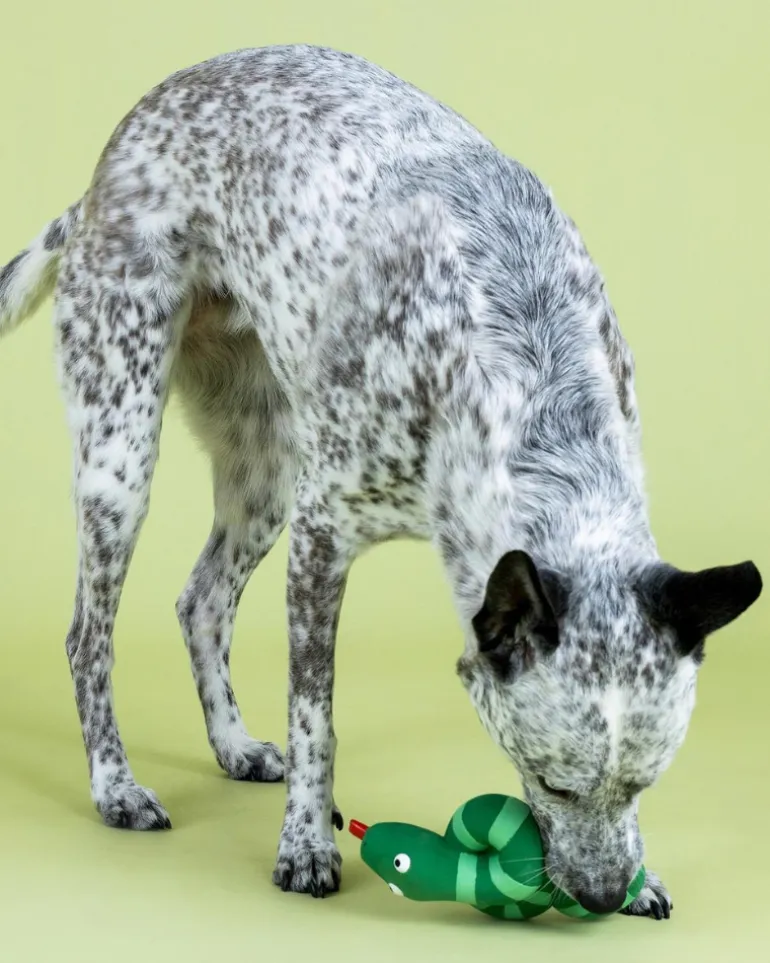 Knotty by Nature Squeaky Latex Dog Toy
