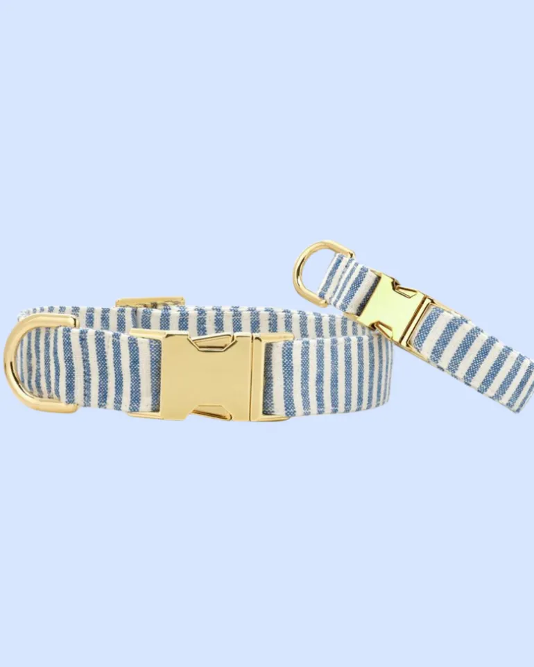 Lake Blue Stripe Dog Collar