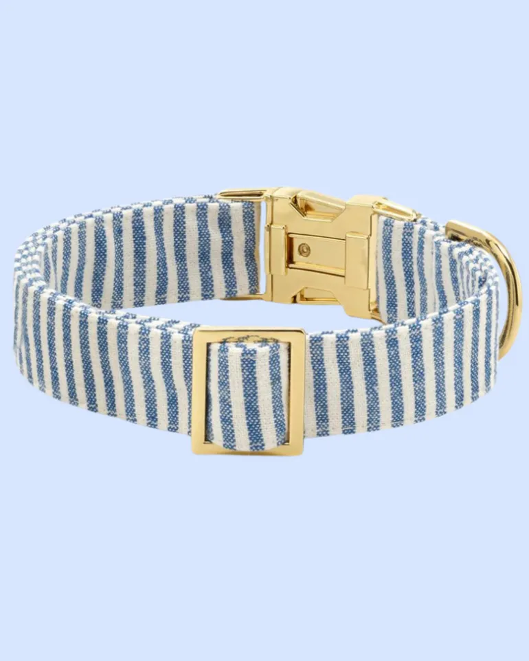 Lake Blue Stripe Dog Collar