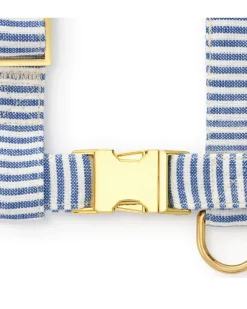 Lake Blue Stripe Dog Harness