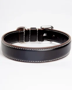 Leather Dog Collar in Black (Made in Italy)