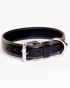 Leather Dog Collar in Black (Made in Italy)