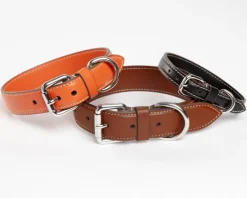 Leather Dog Collar in Tobacco Brown (Made in Italy)