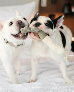Leek Plush Squeaky Toy for Dogs