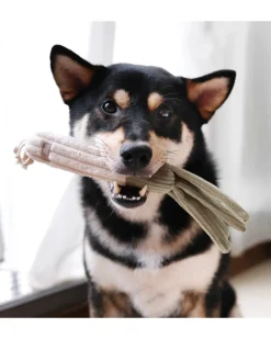 Leek Plush Squeaky Toy for Dogs