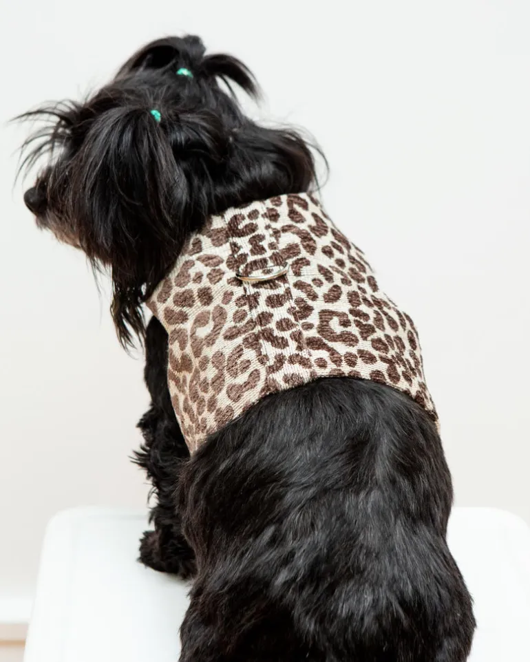 Leopard Print Dog Harness (Made in the USA)