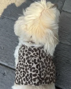 Leopard Print Dog Harness (Made in the USA)