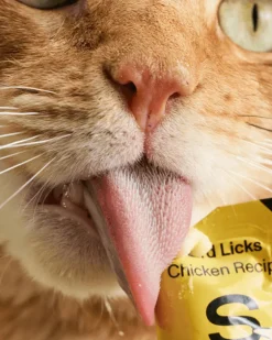 Lickable Pouch Cat Treat (8-Pack)