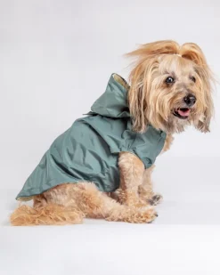 Life Dog Raincoat in Sandstone