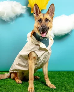 Life Dog Raincoat in Sandstone