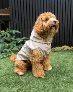 Life Dog Raincoat in Sandstone
