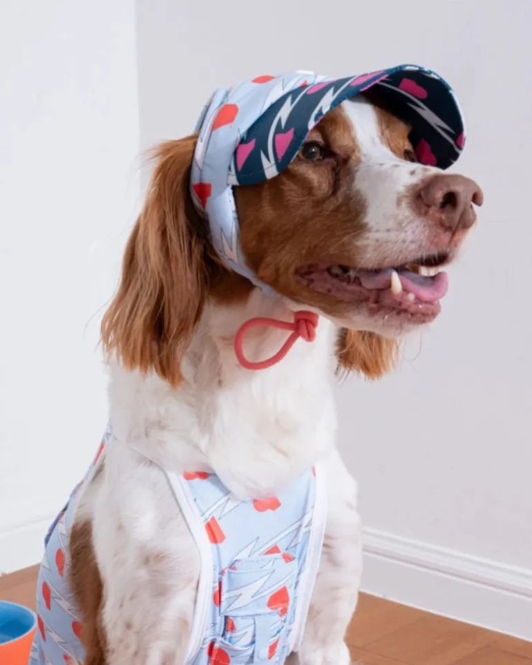 Lightning Dog Cooling Sun Cap
