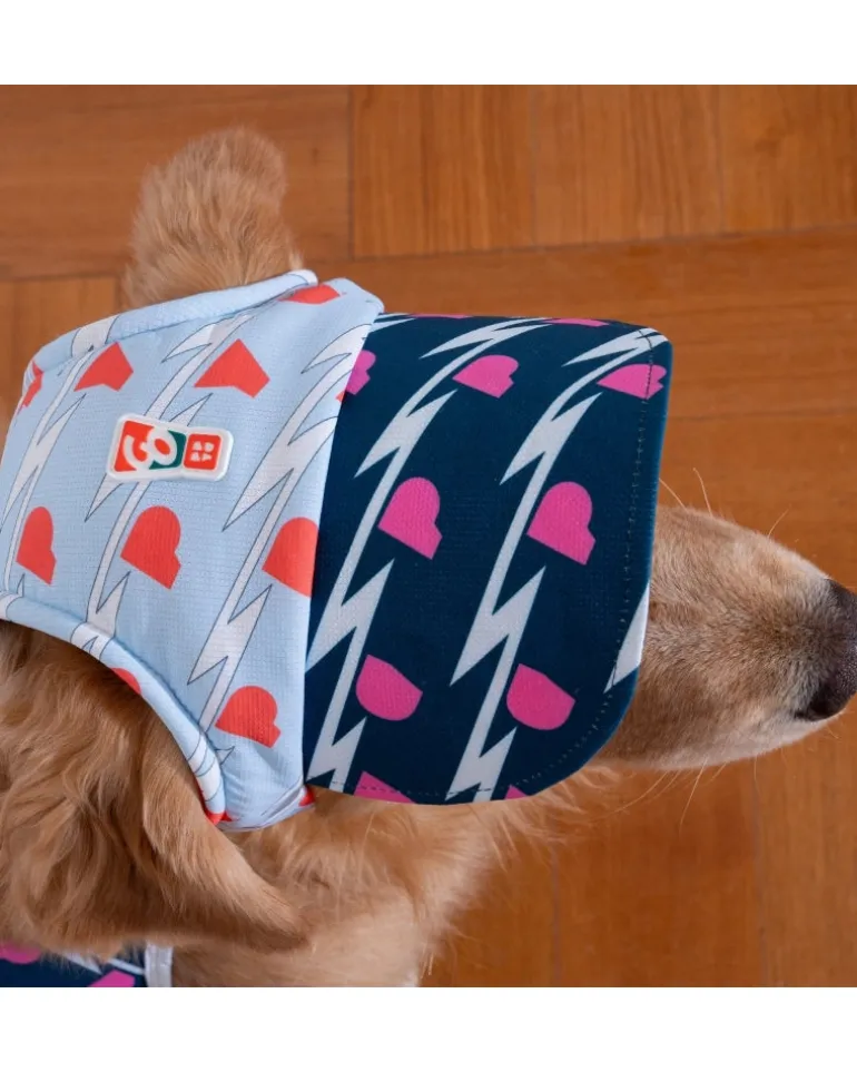 Lightning Dog Cooling Sun Cap