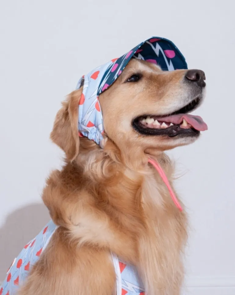 Lightning Dog Cooling Sun Cap