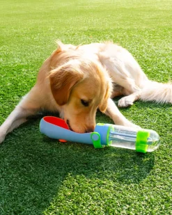 Lil' Gulp Dog Water Bottle