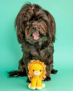 Lion Organic Knit Dog Toy