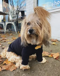 Long-Sleeve Pullover Stretch Dog Fleece in Black (Made in the USA, Dog & Co. Exclusive!)