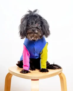 Long-Sleeve Stretch Fleece in Crazy for the 80s (Made in the USA) (DOG & CO. + GOLD PAW Exclusive!)
