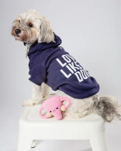 *Love Like a Dog* Graphic Hoodie (Proceeds Benefit the ACLU)